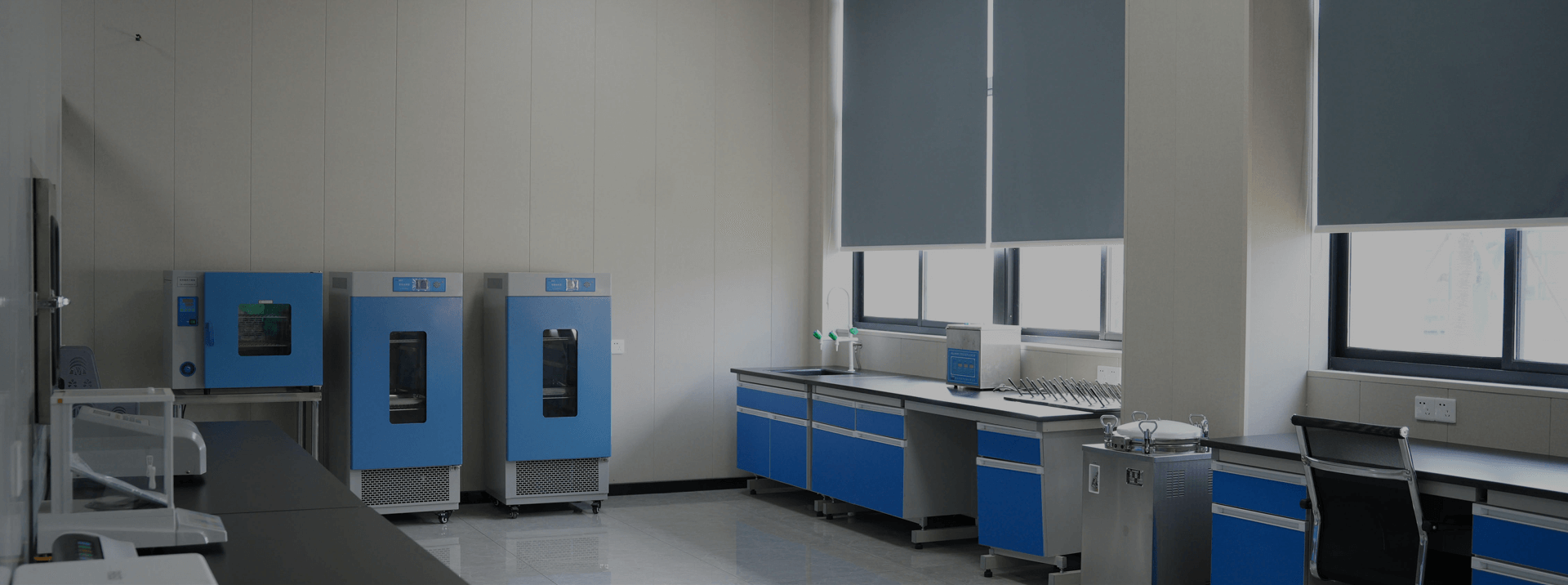 正實(shí)優(yōu)勢